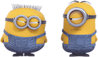 Experience Minion