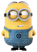 Setup Minion